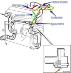 T7Bypass